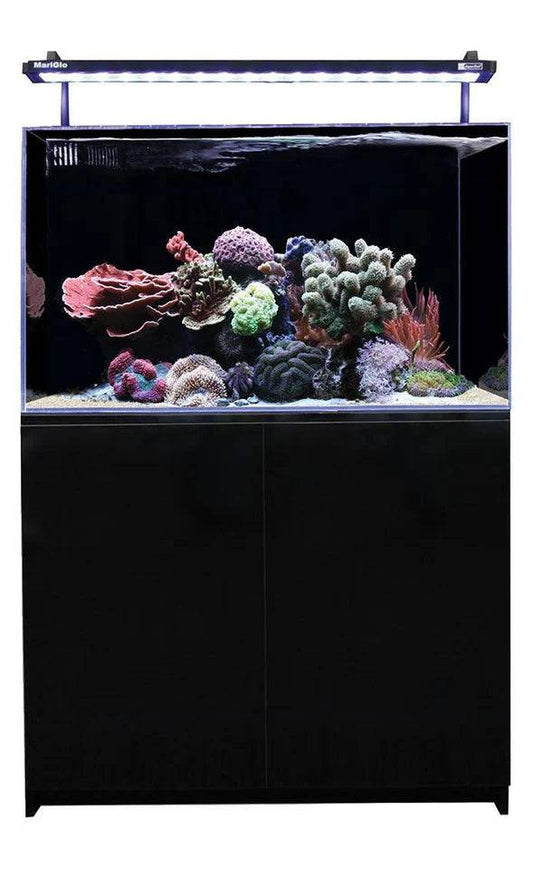 Aqua One Mini Reef 160 Marine Aquarium Set - Cradle Coast Pet & Aquarium