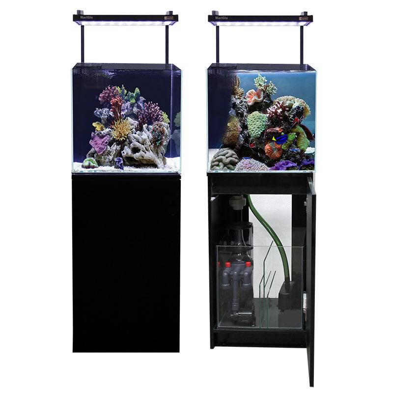 aqua one mini reef 90 marine aquarium set - cradle coast pet & aquarium