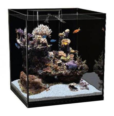 aqua one reef sys 180 tank & stand - cradle coast pet & aquarium