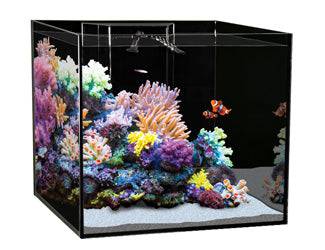 aqua one reef sys 255 tank & stand - cradle coast pet & aquarium