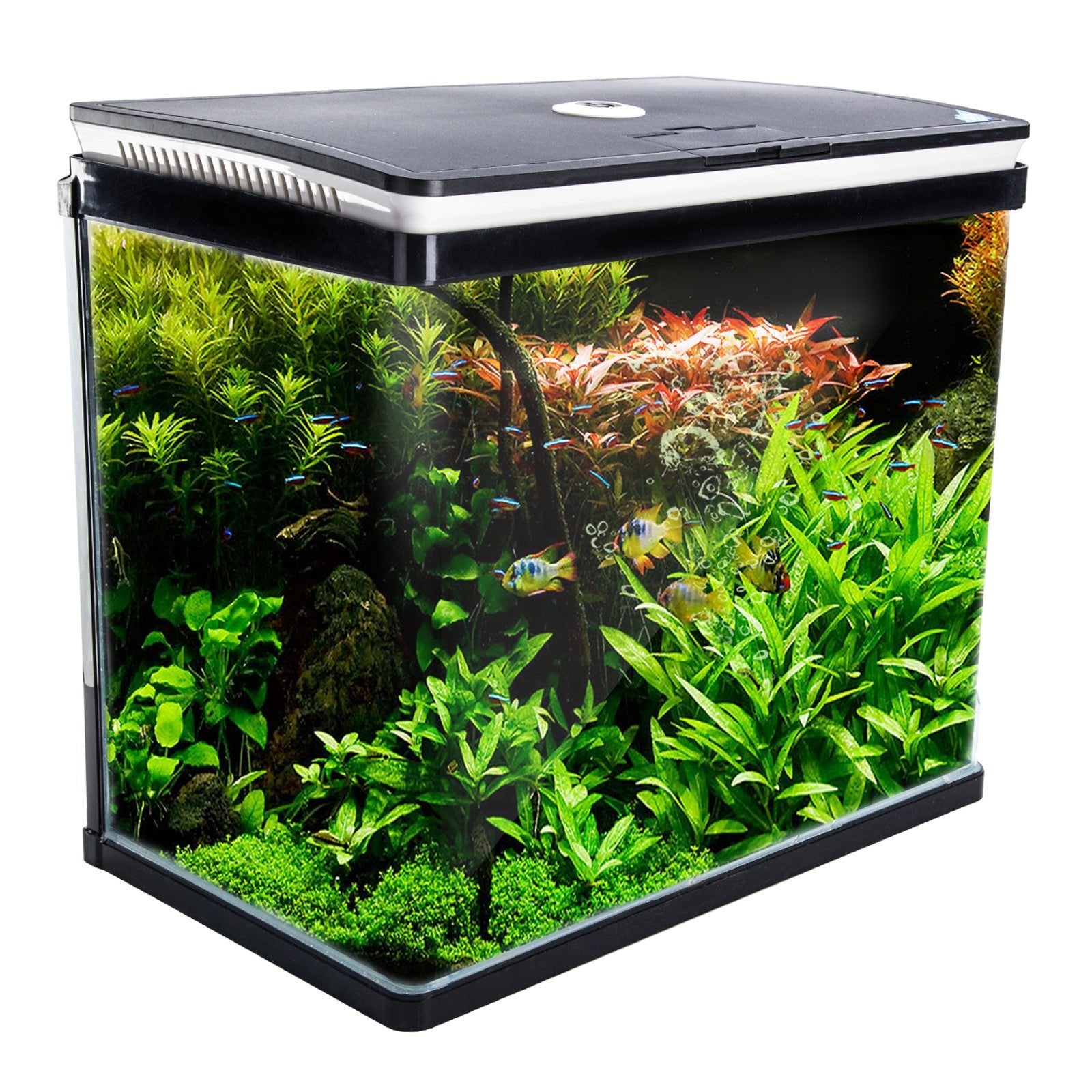 Dynamic Power | Aquarium Curved Glass RGB LED Fish Tank Set Filter Pump 52L | Cradle Coast Pet & Aquarium