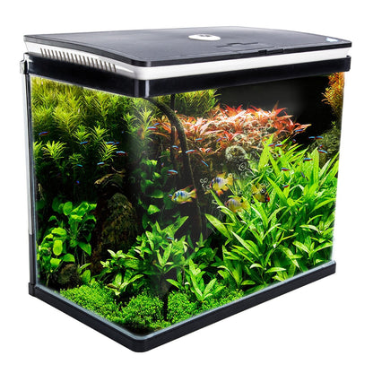 Dynamic Power | Aquarium Curved Glass RGB LED Fish Tank Set Filter Pump 52L | Cradle Coast Pet & Aquarium