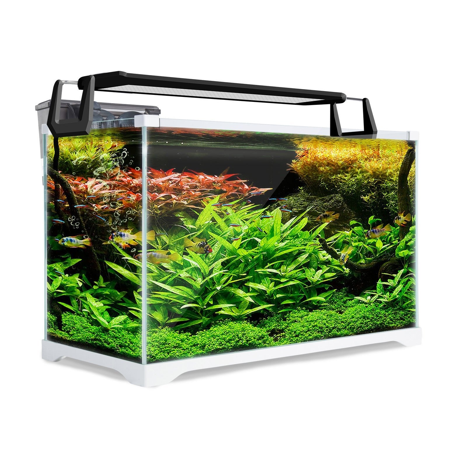 Dynamic Power | Aquarium Starfire Glass Fish Tank Set Filter Pump 39L | Cradle Coast Pet & Aquarium