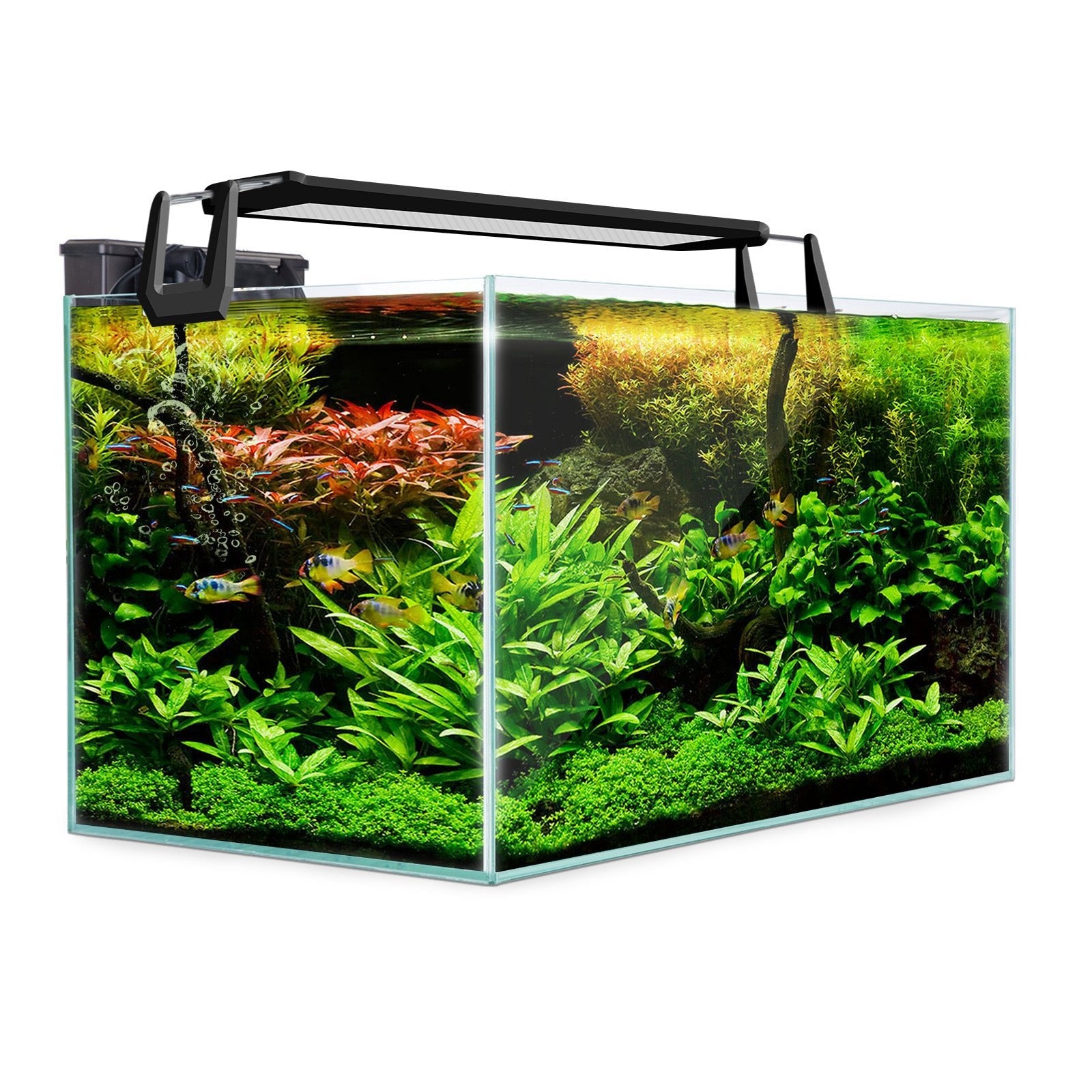 Dynamic Power | Aquarium Starfire Glass Fish Tank Set Filter Pump 70L | Cradle Coast Pet & Aquarium