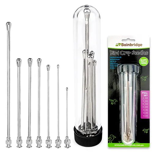 Bainbridge|Bird Crop Needle Set|Cradle Coast Pet & Aquarium