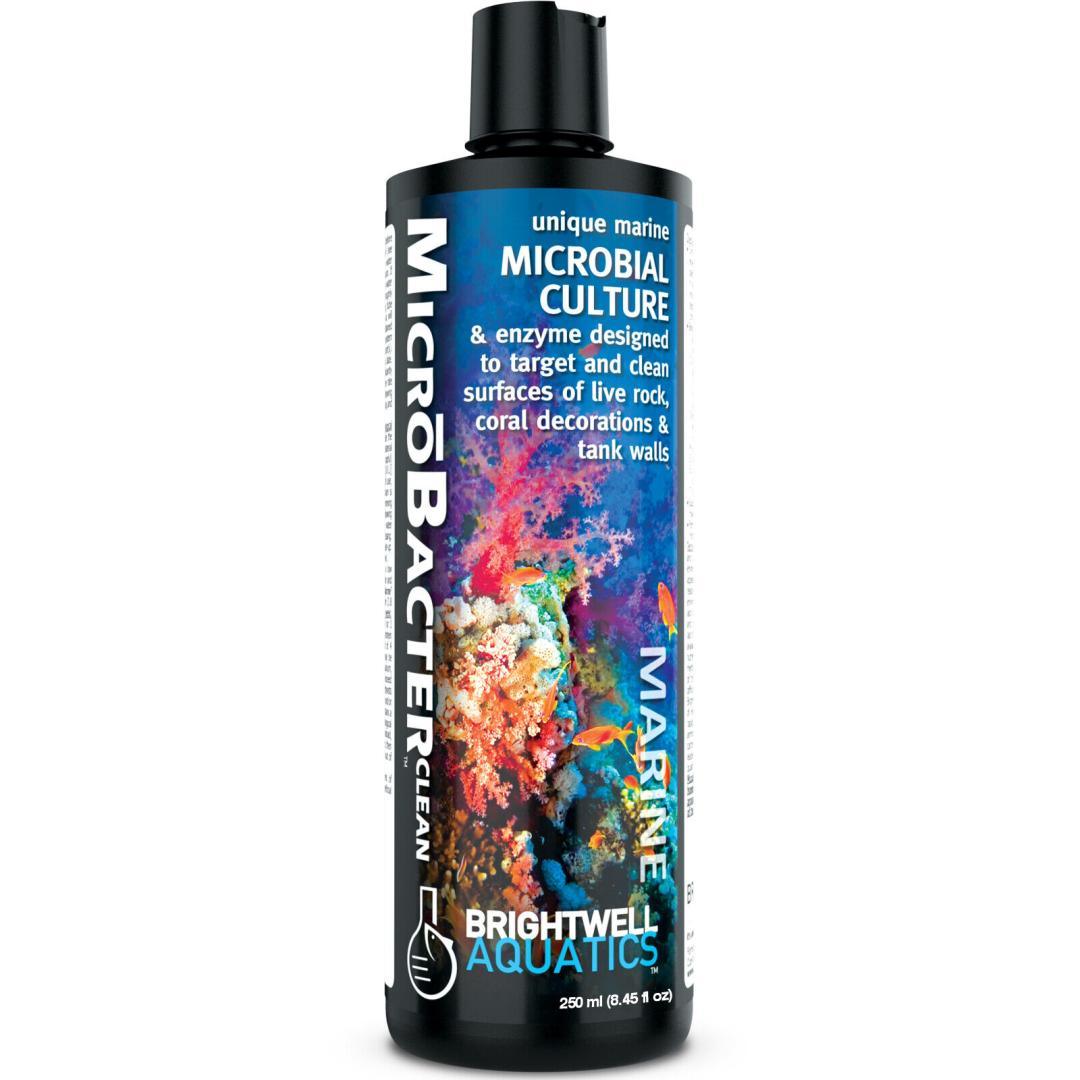 brightwell aquatics micro bacter clean - cradle coast pet & aquarium