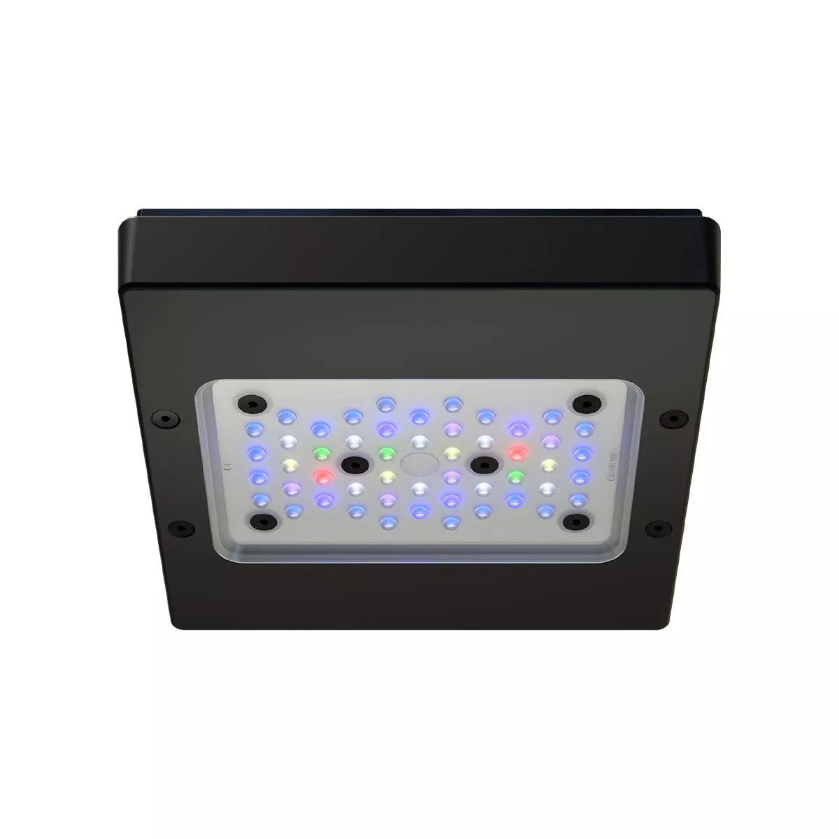 ecotech marine radion xr15 gen 6 pro led light - cradle coast pet & aquarium