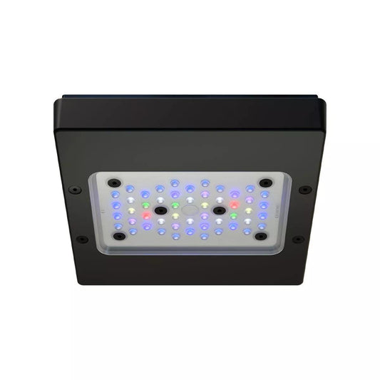 EcoTech Marine Radion XR15 Gen 6 Pro LED Light - Cradle Coast Pet & Aquarium