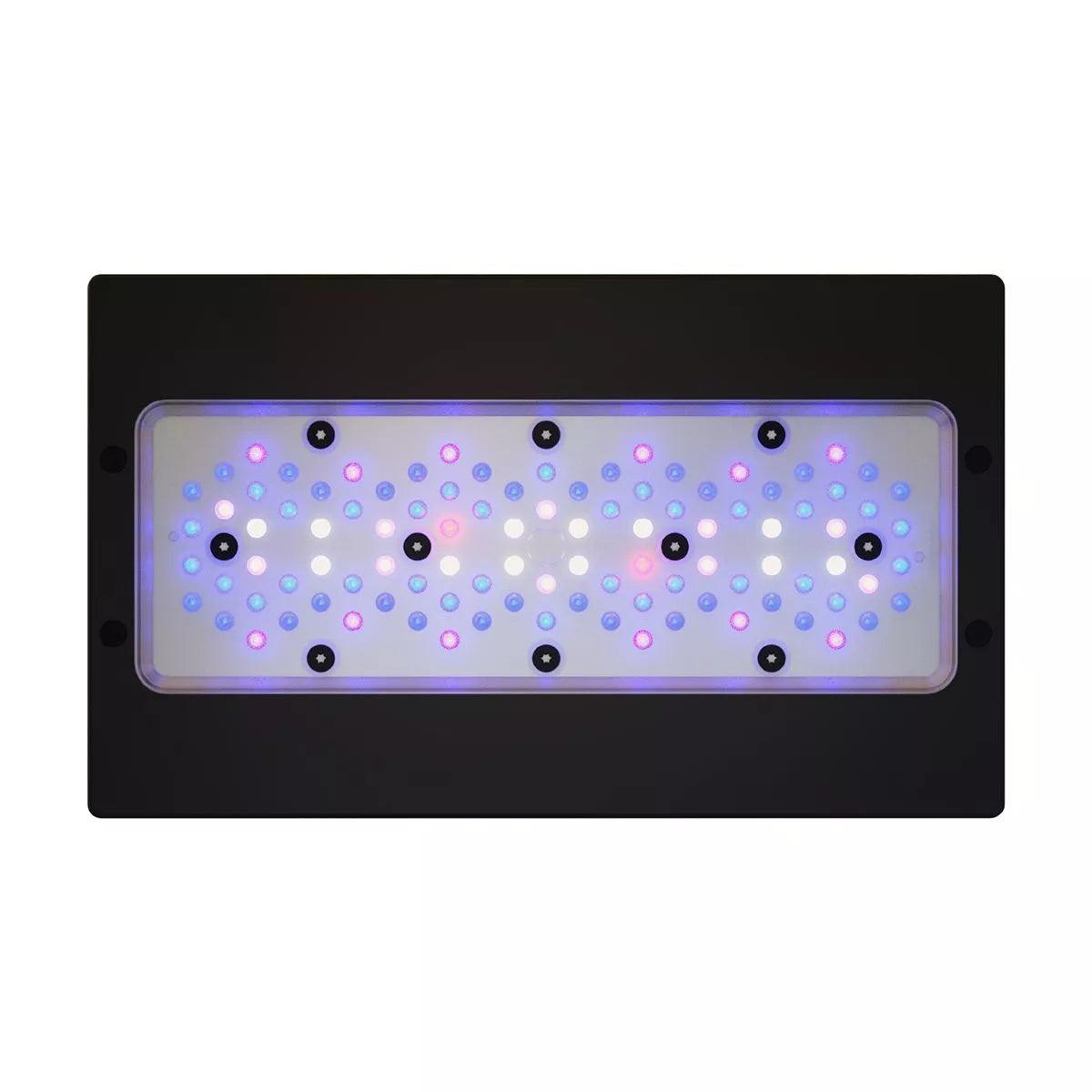 ecotech marine radion xr30 gen 6 blue led light - cradle coast pet & aquarium