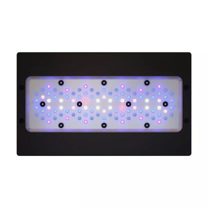 EcoTech Marine Radion XR30 Gen 6 Blue LED Light - Cradle Coast Pet & Aquarium