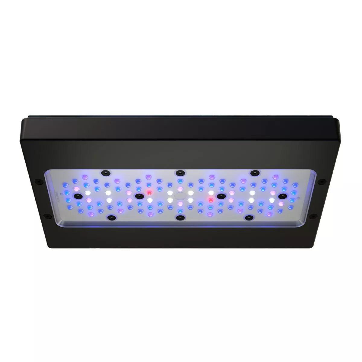 ecotech marine radion xr30 gen 6 blue led light - cradle coast pet & aquarium