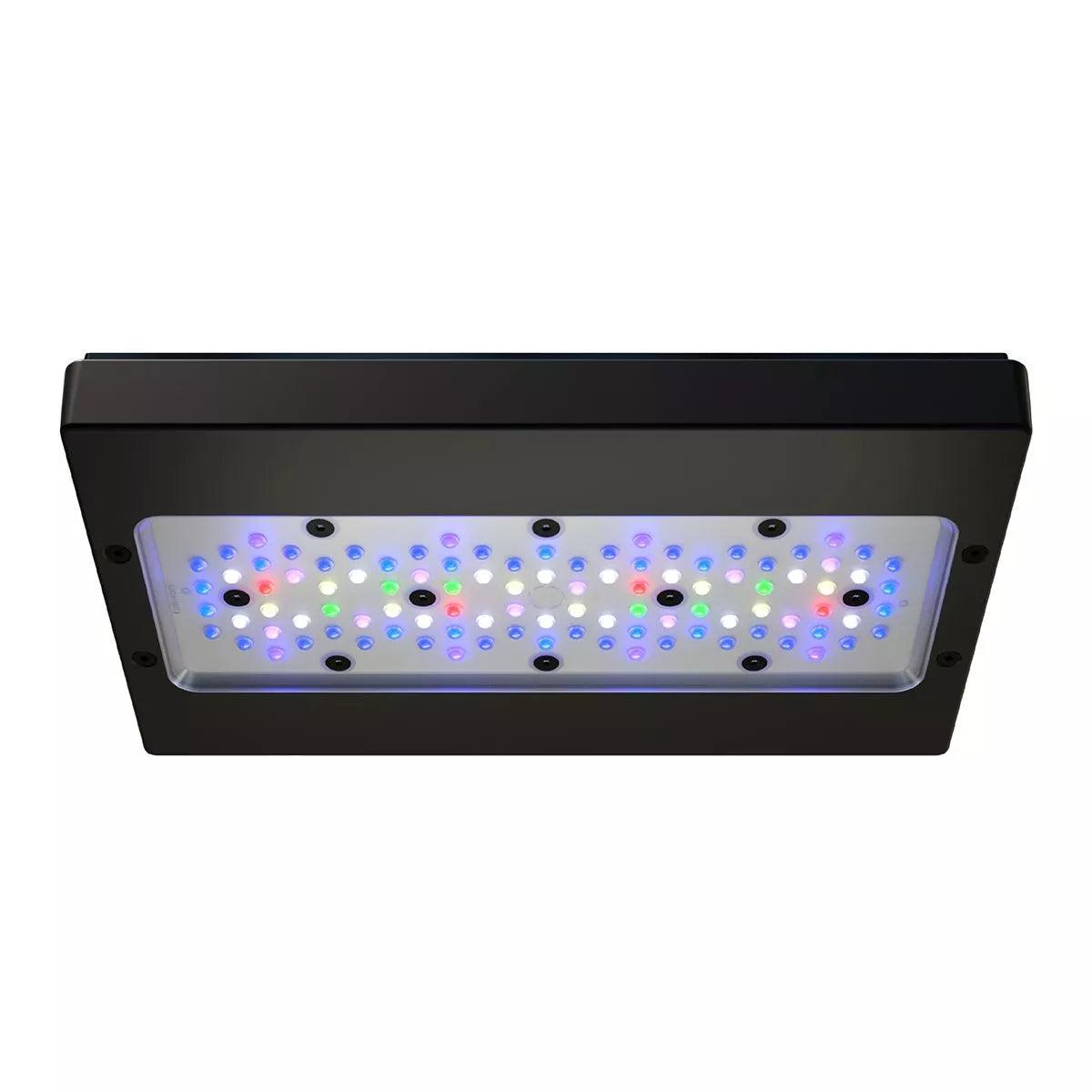 ecotech marine radion xr30 gen 6 pro led light - cradle coast pet & aquarium