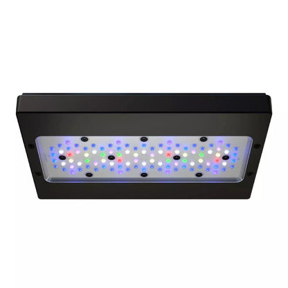 EcoTech Marine Radion XR30 Gen 6 Pro LED Light - Cradle Coast Pet & Aquarium