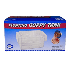 Cradle Coast Pet & Aquarium | Floating Guppy Breeding Tank | Cradle Coast Pet & Aquarium