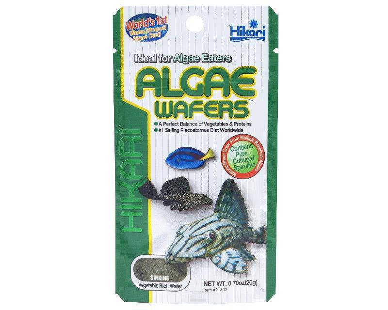 hikari algae wafers - cradle coast pet & aquarium