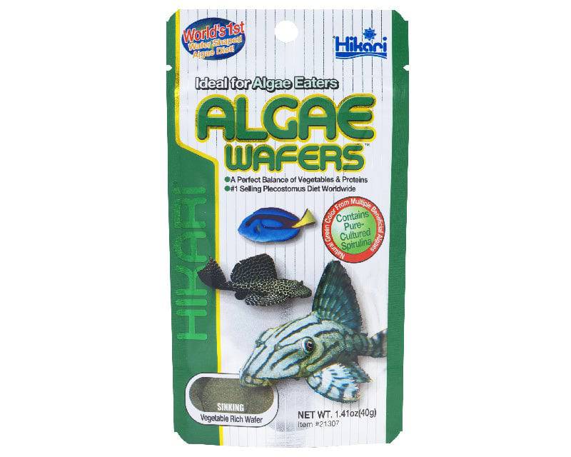 hikari algae wafers - cradle coast pet & aquarium