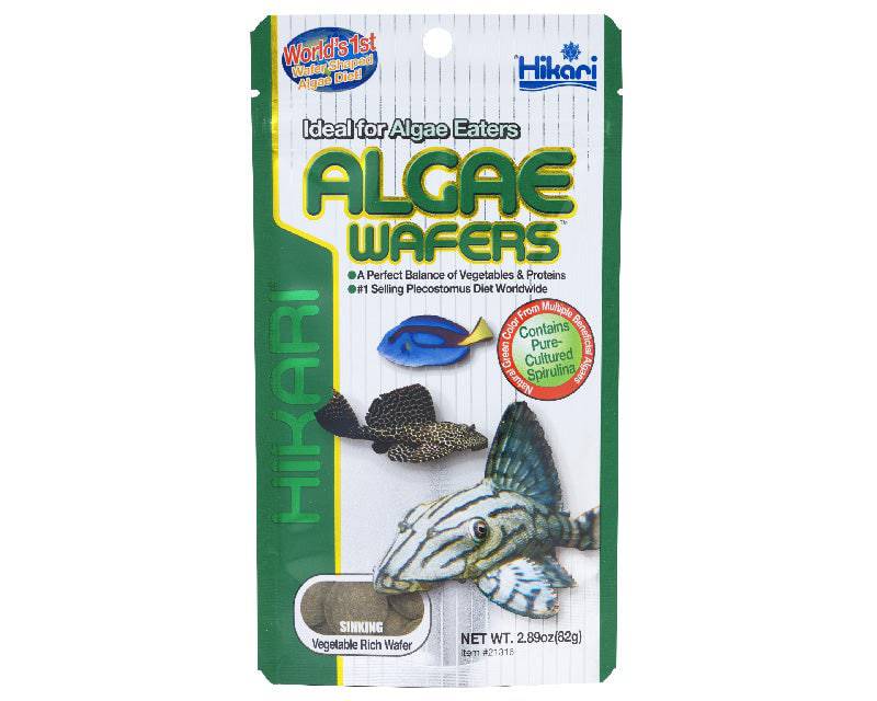 hikari algae wafers - cradle coast pet & aquarium