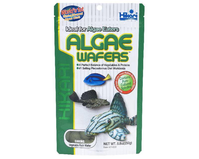 hikari algae wafers - cradle coast pet & aquarium