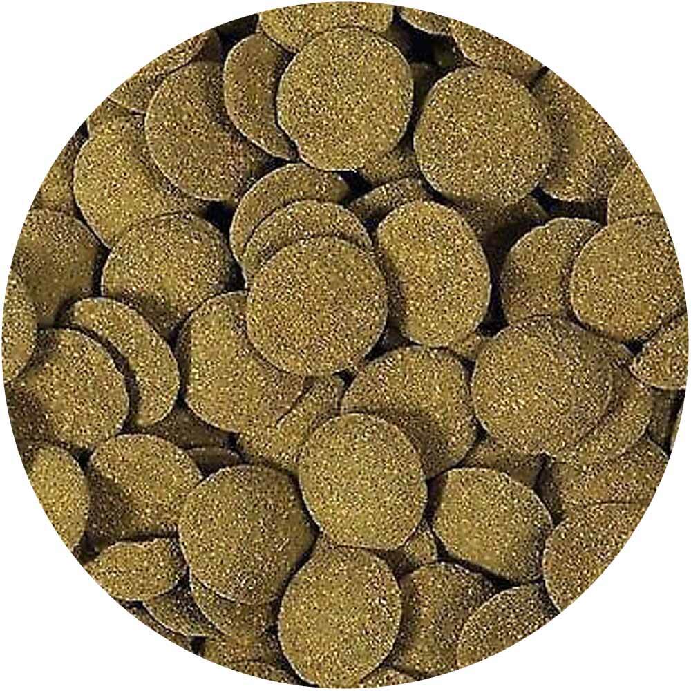 hikari algae wafers - cradle coast pet & aquarium