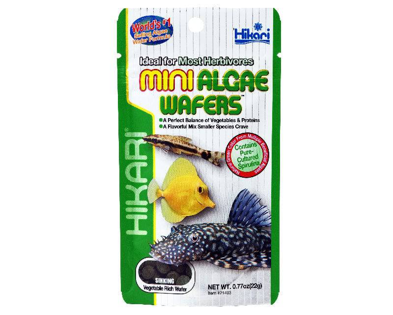 hikari mini algae wafers - cradle coast pet & aquarium