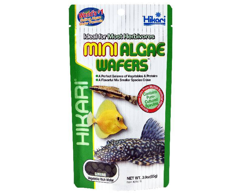 hikari mini algae wafers - cradle coast pet & aquarium