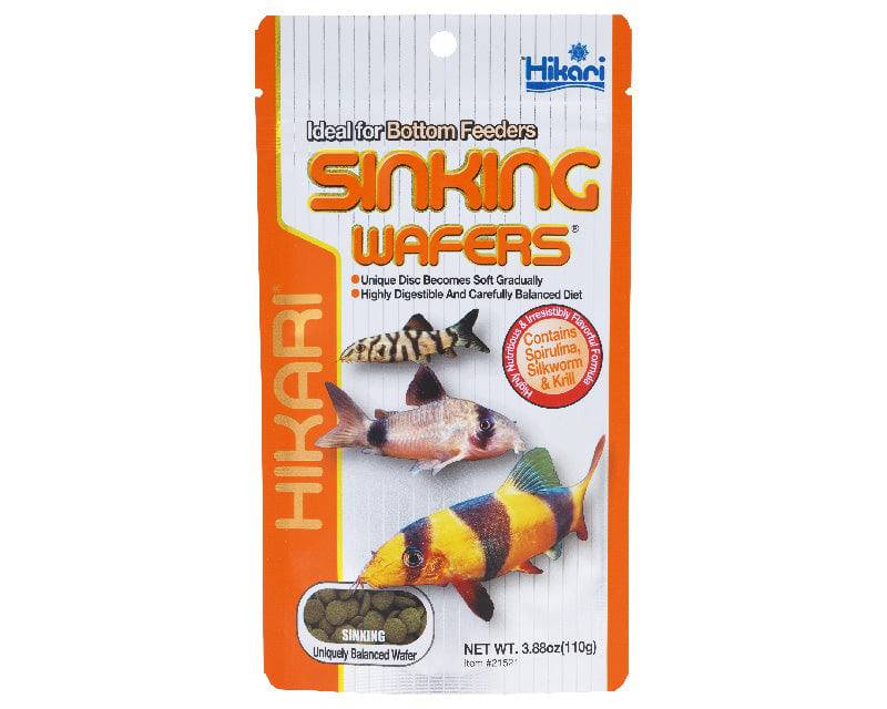 hikari sinking wafers - cradle coast pet & aquarium