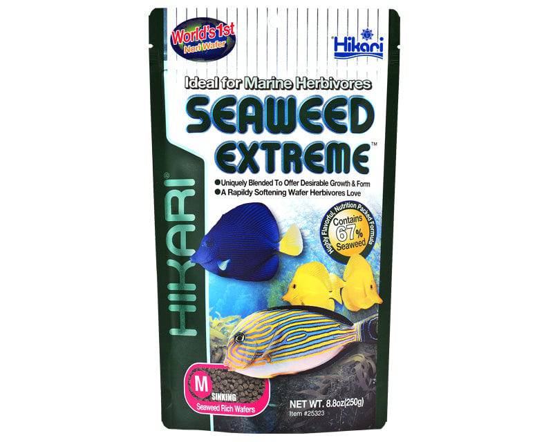 hikari seaweed extreme - cradle coast pet & aquarium