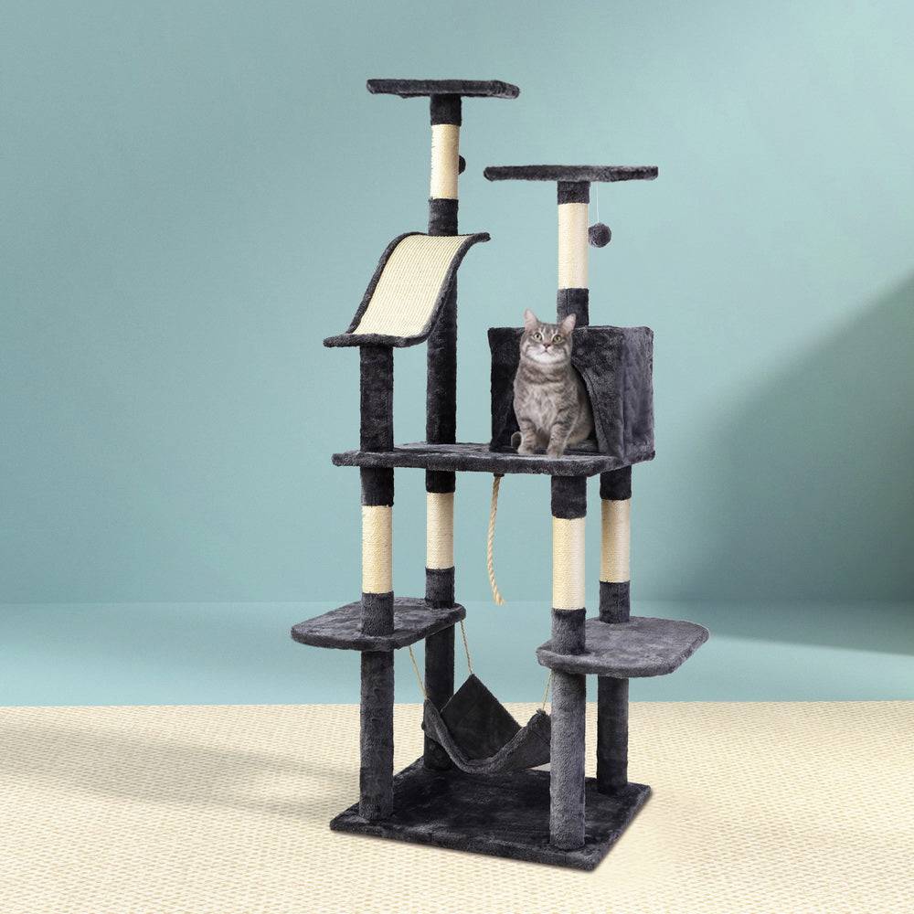 i.pet 171cm cat scratching post - cradle coast pet & aquarium