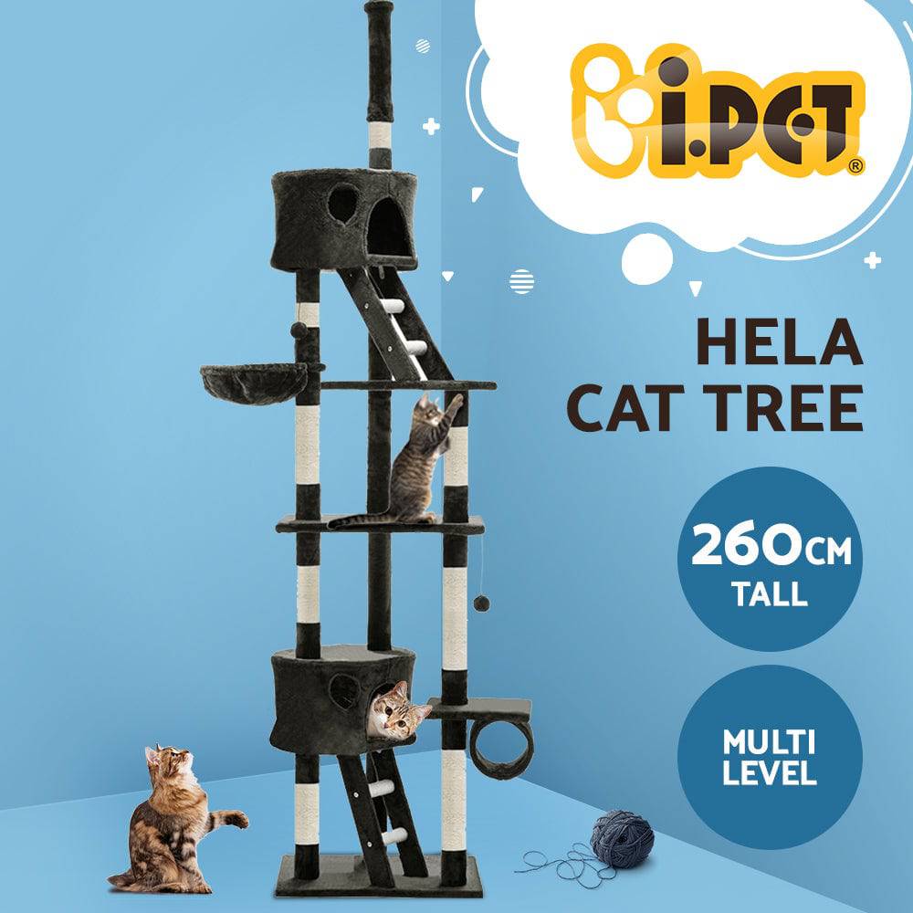 i.pet 260cm cat scratching post - cradle coast pet & aquarium