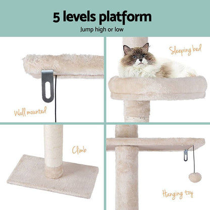 i.Pet 290cm Cat Scratching Post - Cradle Coast Pet & Aquarium