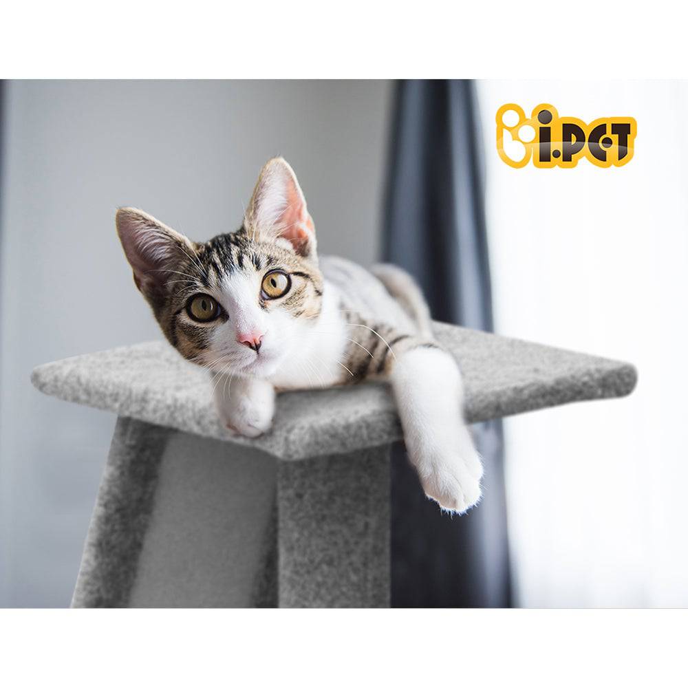 i.pet 82cm cat scratching post - cradle coast pet & aquarium