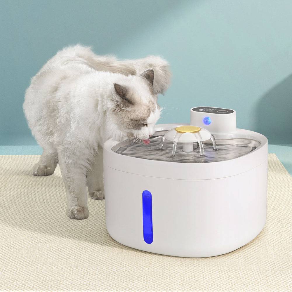 i.pet automatic pet water fountain - 2.6l - cradle coast pet & aquarium