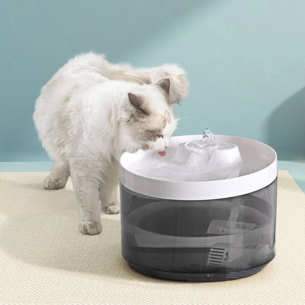 i.pet automatic water fountain 2.2l - cradle coast pet & aquarium