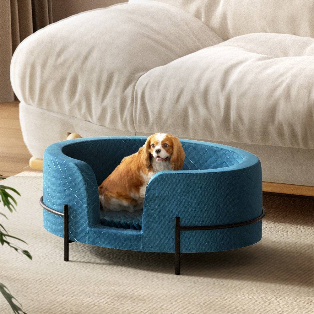 i.pet pet sofa lounge - cradle coast pet & aquarium