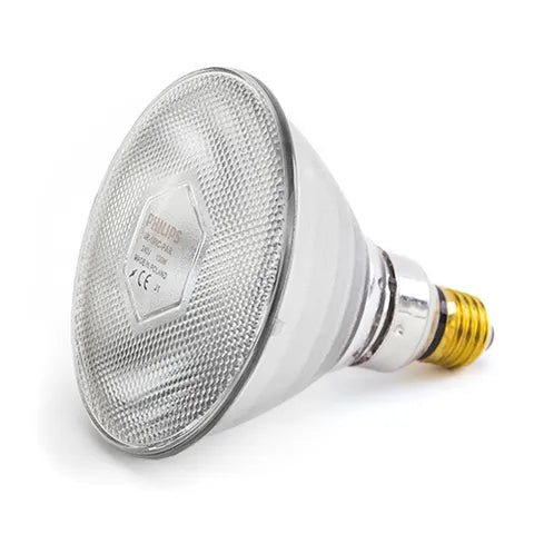 Phillips|Infrared Light Bulb|Cradle Coast Pet & Aquarium