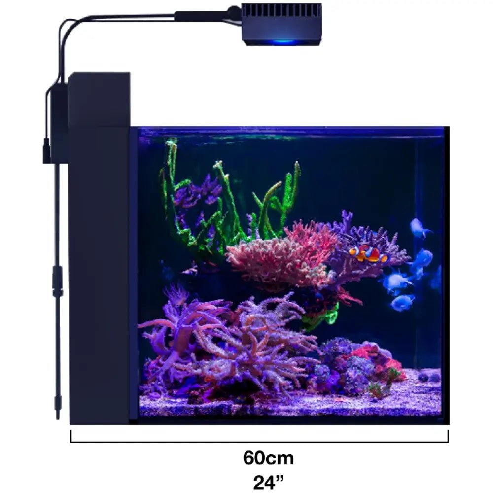 Red Sea|MAX Nano Cube|Cradle Coast Pet & Aquarium