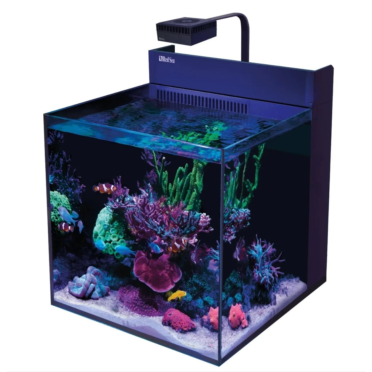 Red Sea|MAX Nano Cube|Cradle Coast Pet & Aquarium