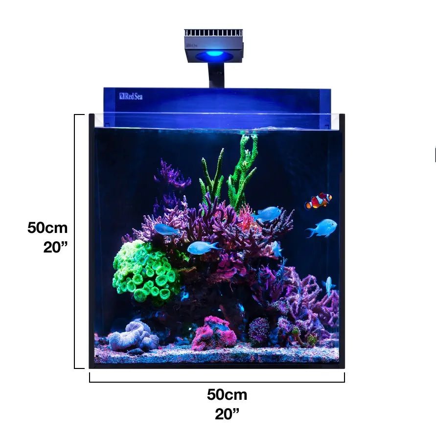 Red Sea|MAX Nano Cube|Cradle Coast Pet & Aquarium