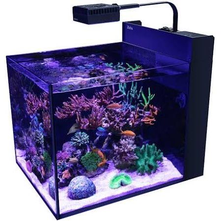 Red Sea|MAX Nano G2 Peninsula|Cradle Coast Pet & Aquarium