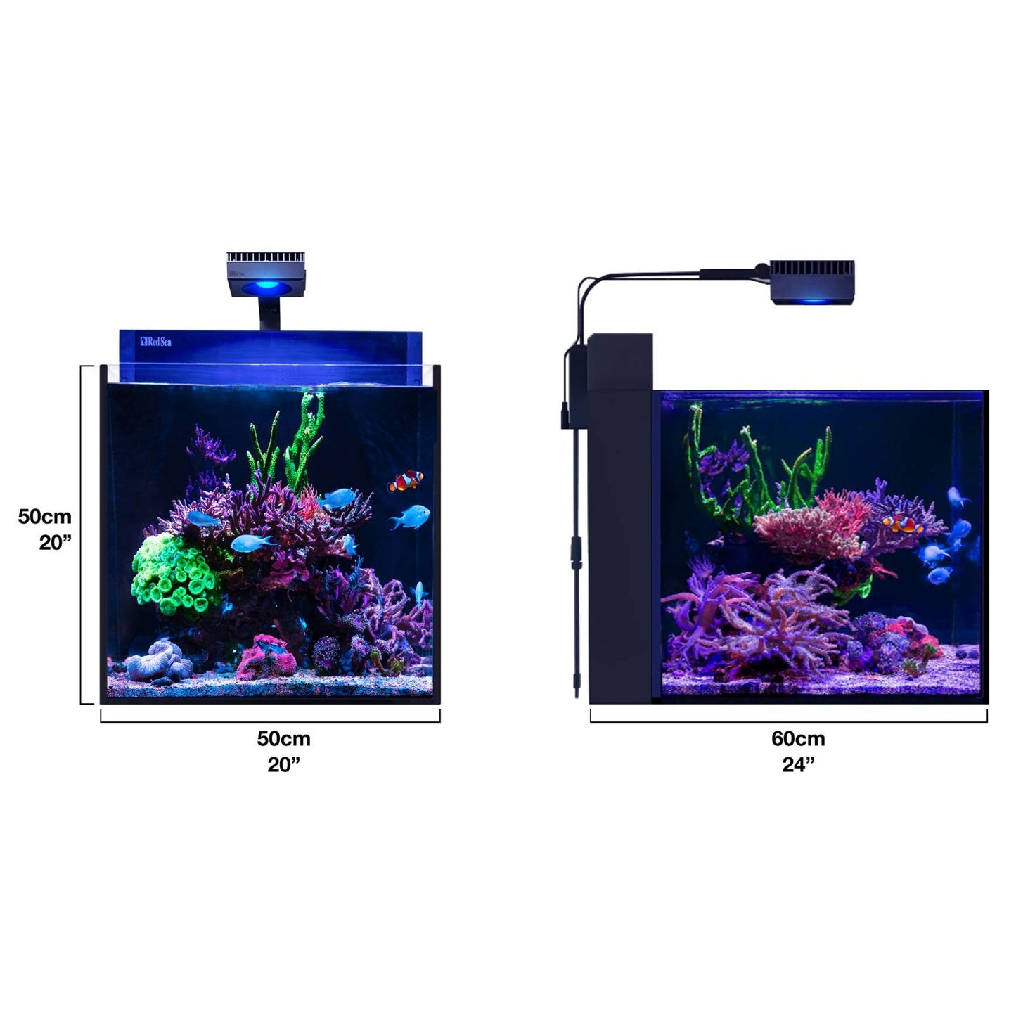 Red Sea|MAX Nano G2 XL|Cradle Coast Pet & Aquarium