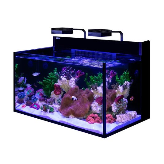 Red Sea|Max NANO G2 XXL|Cradle Coast Pet & Aquarium