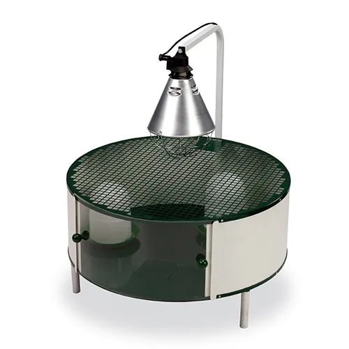 Bainbridge|Metal Brooding Cage - Circular|Cradle Coast Pet & Aquarium