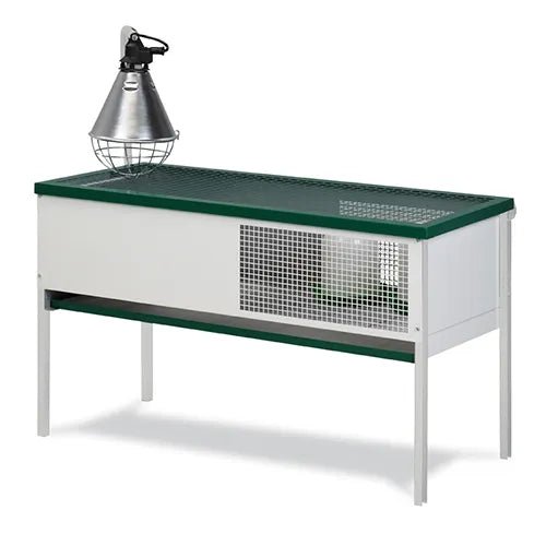 Bainbridge|Metal Brooding Cage - Rectangular|Cradle Coast Pet & Aquarium