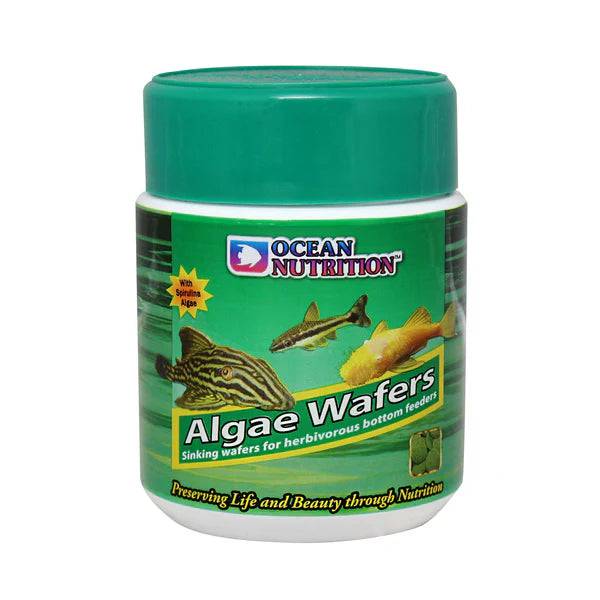 ocean nutrition algae wafers - cradle coast pet & aquarium