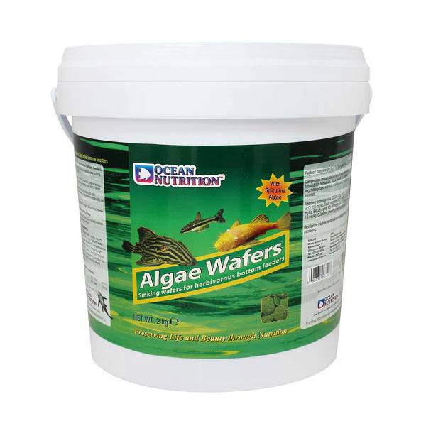 ocean nutrition algae wafers - cradle coast pet & aquarium