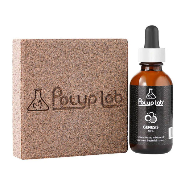 Polyp Lab Genesis Rock Booster Kit