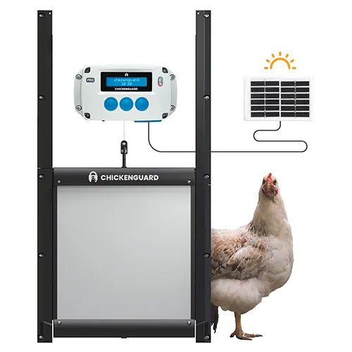 Chicken Guard|Pro Solar Combi Kit|Cradle Coast Pet & Aquarium