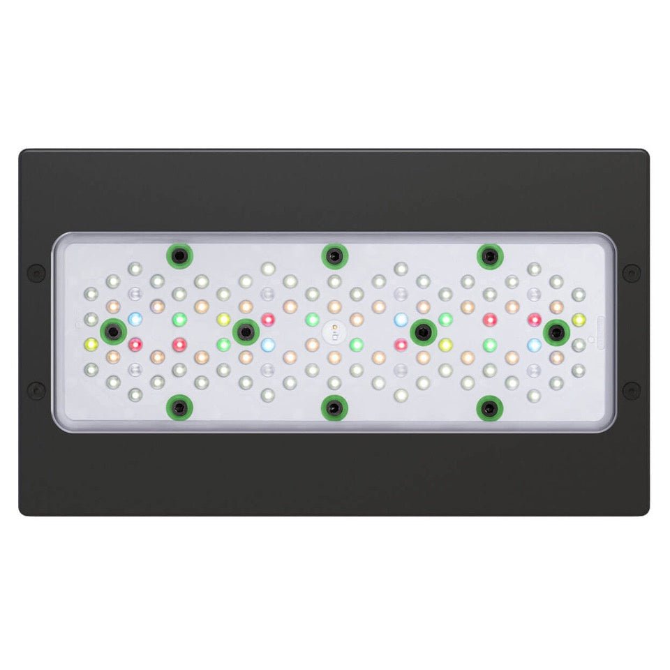 EcoTech Marine | Radion XR30 Gen 5 Freshwater LED Light | Cradle Coast Pet & Aquarium
