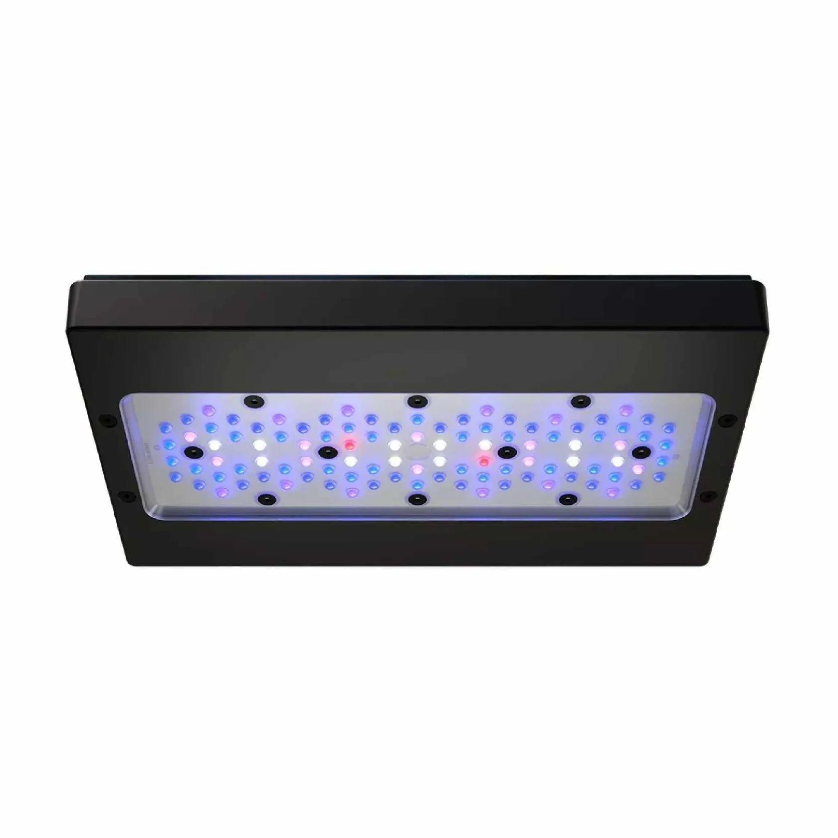 EcoTech Marine | Radion XR30 Gen 6 Blue LED Light | Cradle Coast Pet & Aquarium