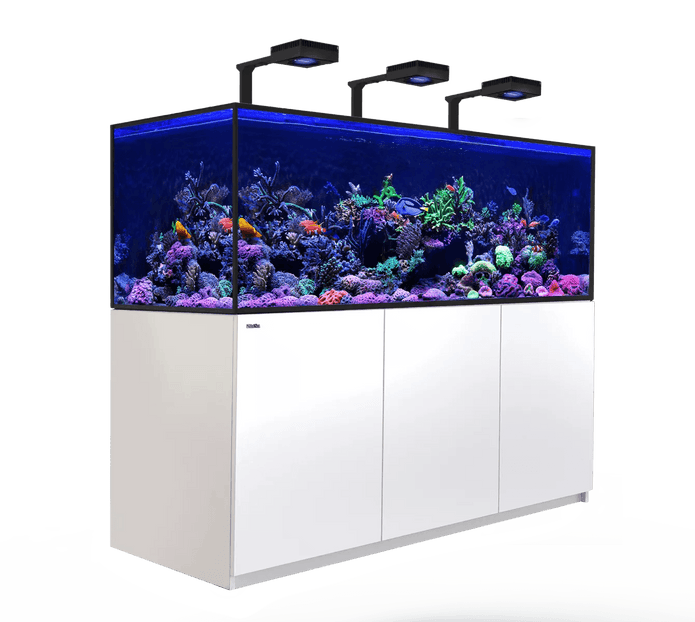 red sea reefer s-850 g2+ aquarium system